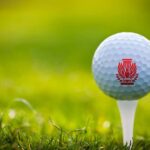 AIA Golf Tournament – NEW DATE- June 15th! AIA Golf Tournament – NEW DATE- June 15th!